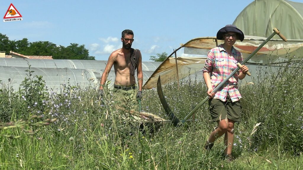 volontaire a la ferme pilote de la Noria