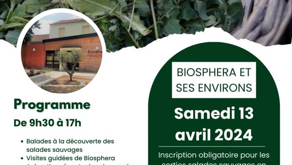 430472376_797544095746415_8756270461446943740_n