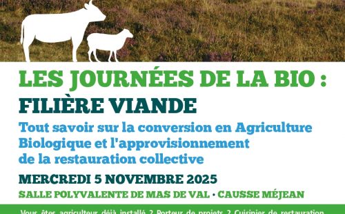 565196641_1125868603011354_918687257418828057_n