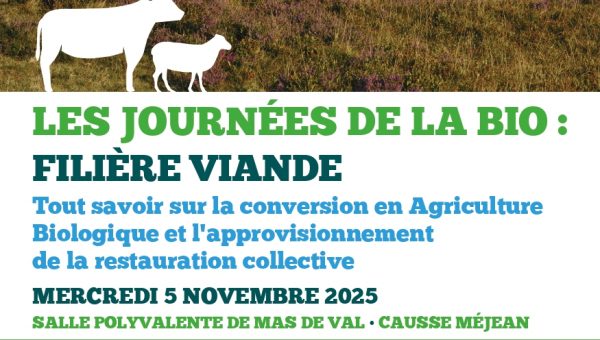 565196641_1125868603011354_918687257418828057_n