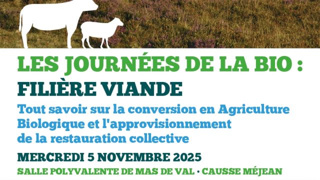 565196641_1125868603011354_918687257418828057_n