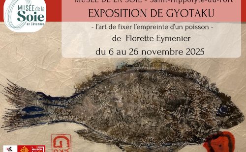 571409602_1462250922066445_9088290774561662825_n