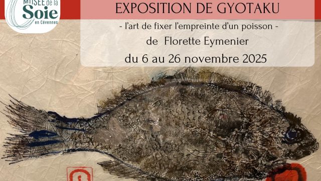 571409602_1462250922066445_9088290774561662825_n