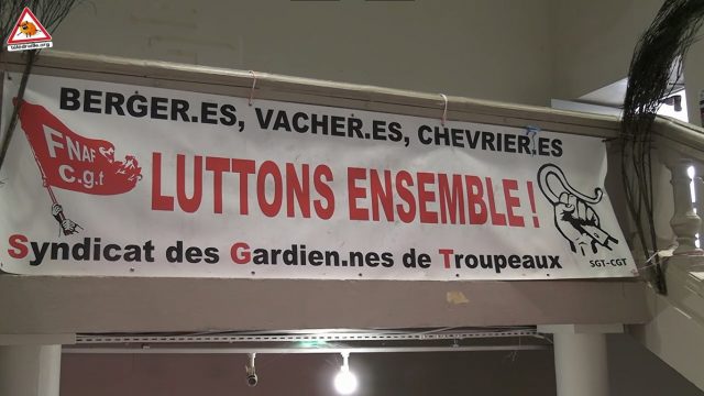 Capture d’écran 2025-05-16 080603