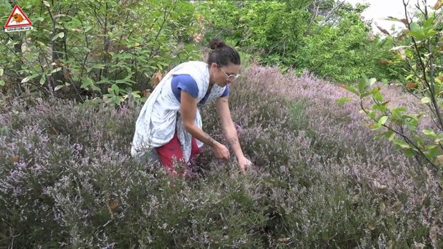 Capture d’écran 2025-09-26 081829