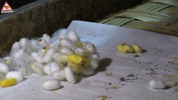 Capture d’écran 2025-12-05 094104