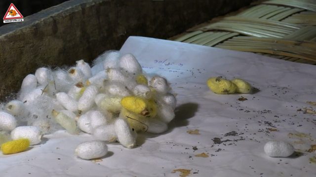 Capture d’écran 2025-12-05 094104