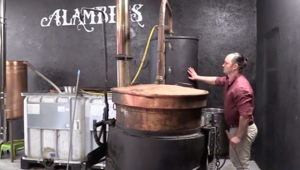 Une distillerie artisanale en Cévennes