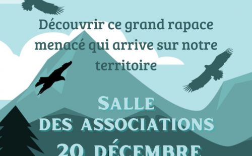 Gypaete-20-decembre-724x1024