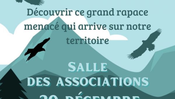 Gypaete-20-decembre-724x1024