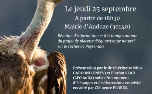 Presentation-equarissage-naturel-724x1024