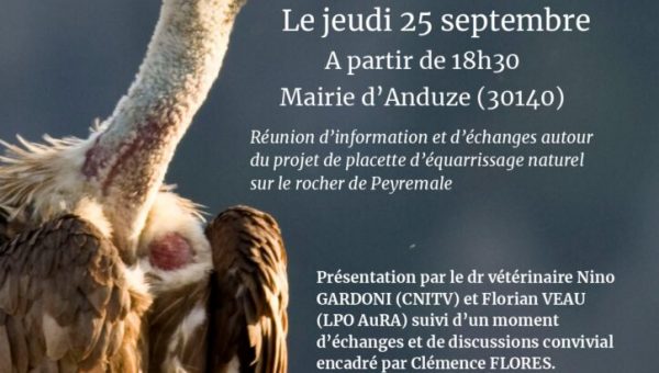 Presentation-equarissage-naturel-724x1024