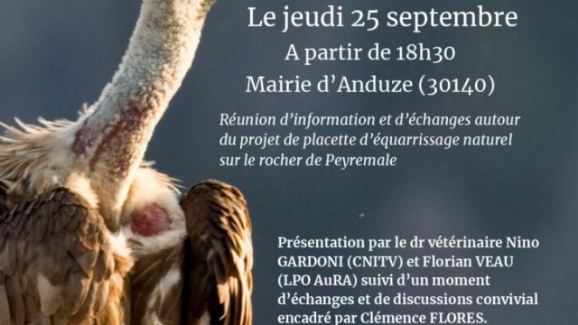 Presentation-equarissage-naturel-724x1024